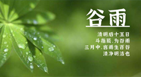 【二十四節(jié)氣灸】谷雨時節(jié)，用艾為您的健康加上一道保險！