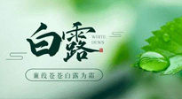 【二十四節(jié)氣灸】白露涼爽，養(yǎng)心肝脾胃、滋陰潤肺是關(guān)鍵！