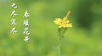 【九九養(yǎng)生】三月四日“九九日”，寒冬已過。春天養(yǎng)好身，全年不怕病！