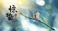 【二十四節(jié)氣灸】驚蟄節(jié)氣，艾灸喚醒抵抗力、補充陽氣的最好時機！