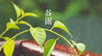 【二十四節(jié)氣灸】谷雨節(jié)氣脾土濕，艾灸降濕濁，脾旺不受邪！